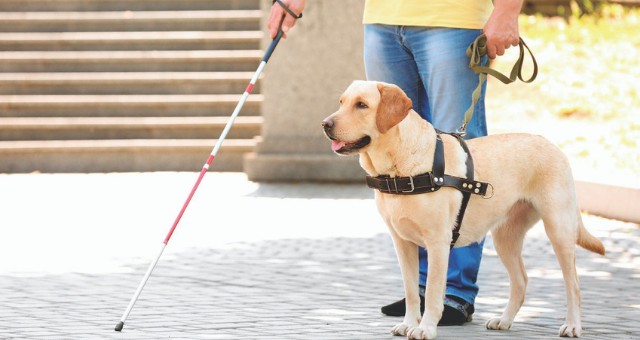 "הנתבעים הפלו את התובע על רקע מוגבלותו" 