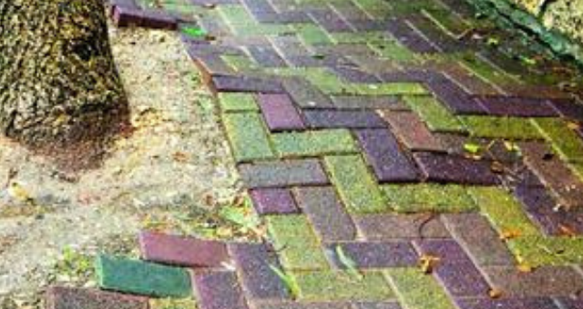 מדרכה משובשת