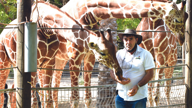 יגאל פדידה, מנהל גן החיות בחי פארק