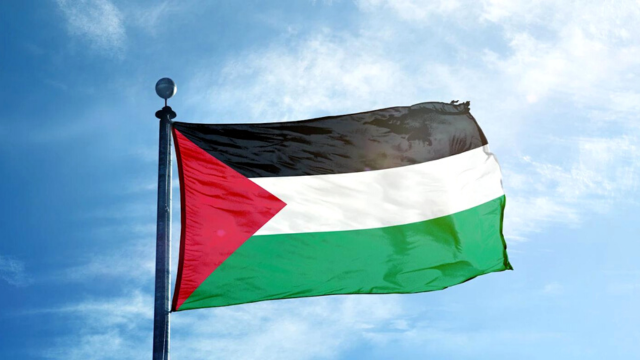 דגל פלסטין 